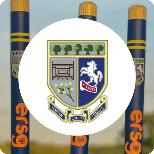 Hayes Cricket Club  collaboration with ersg