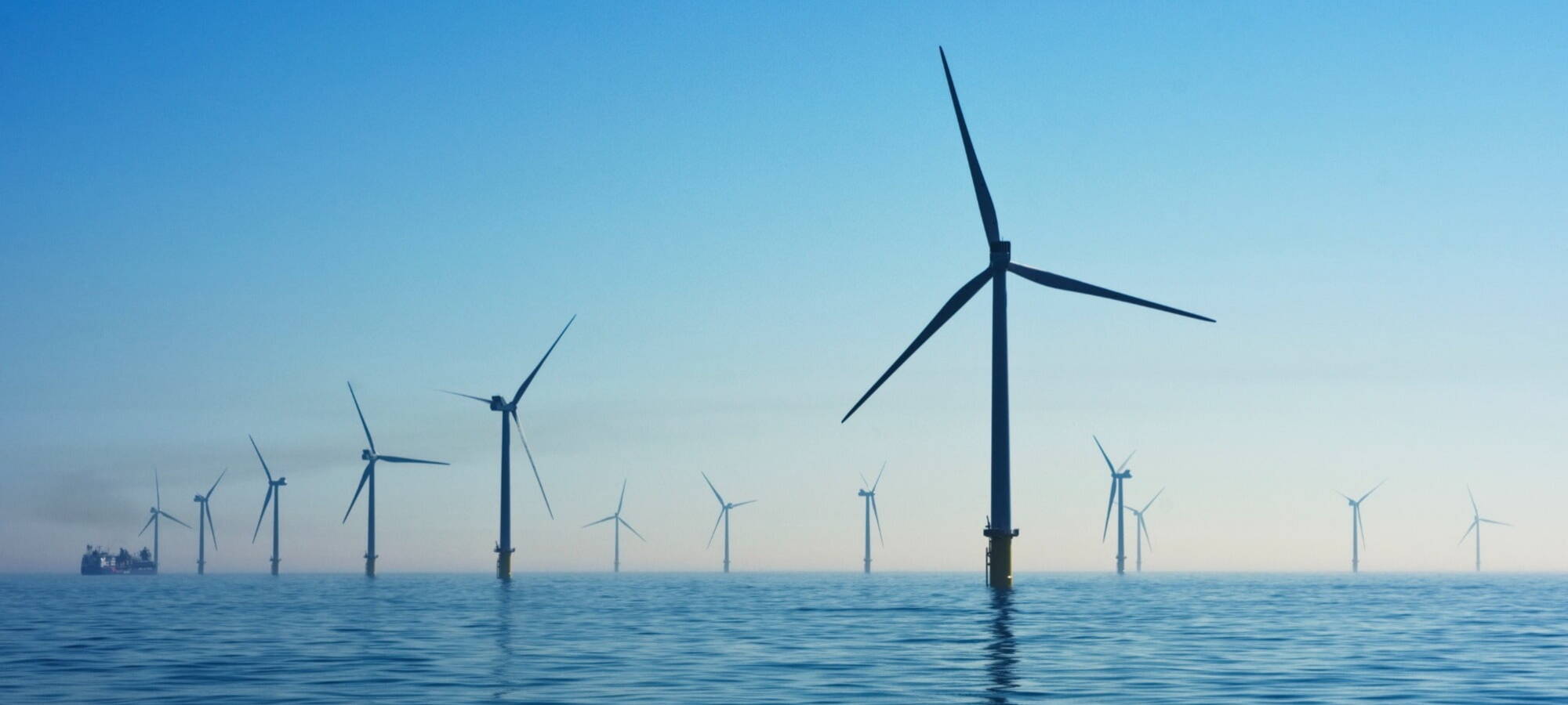 offshore windfarm 