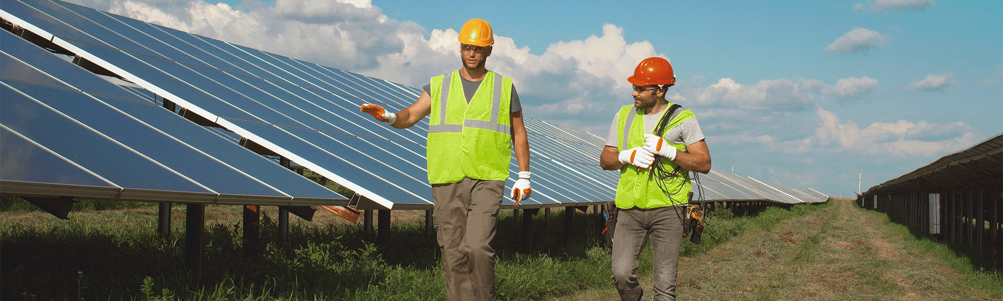 ersg contractor solar farm